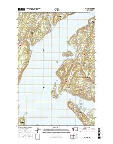Fox Island 2017 topographic map thumbnail