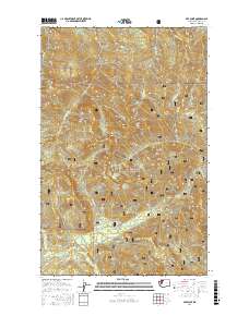 Gee Point 2017 topographic map thumbnail