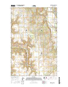 Inkster Lake 2017 topographic map thumbnail