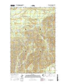 Kalaloch Ridge 2017 topographic map thumbnail