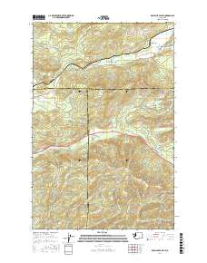 Kamilche Valley 2017 topographic map thumbnail