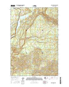 Lake Kapowsin 2017 topographic map thumbnail