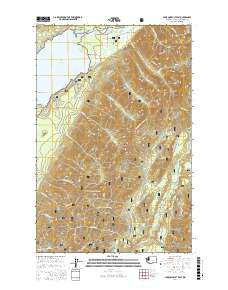 Lake Quinault East 2017 topographic map thumbnail