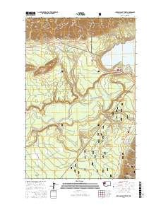 Lake Quinault West 2017 topographic map thumbnail