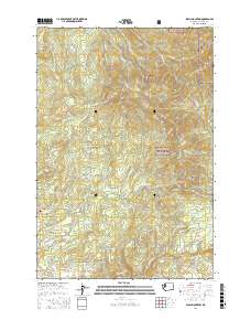 Larch Mountain 2017 topographic map thumbnail