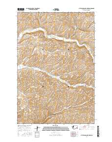 Little Penawawa Creek 2017 topographic map thumbnail
