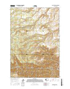 Logy Creek SW 2017 topographic map thumbnail