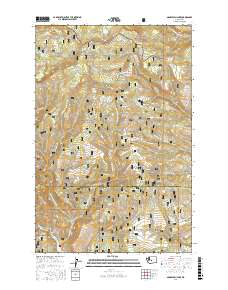 Manastash Lake 2017 topographic map thumbnail