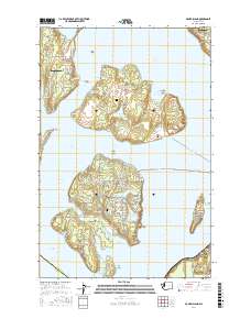 McNeil Island 2017 topographic map thumbnail