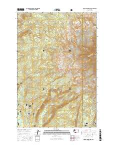 Mount Adams West 2017 topographic map thumbnail