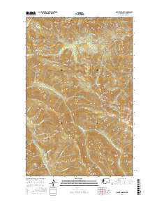 Mount Angeles 2017 topographic map thumbnail