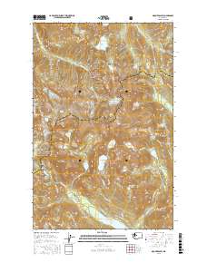 Mount Daniel 2017 topographic map thumbnail