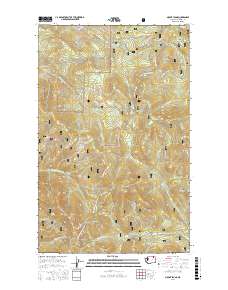 Mount Leona 2017 topographic map thumbnail
