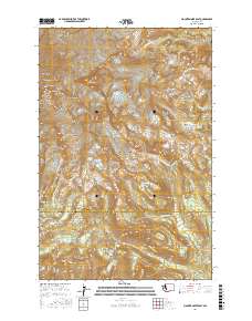 Mount Rainier East 2017 topographic map thumbnail