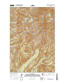 Mount Rainier West 2017 topographic map thumbnail