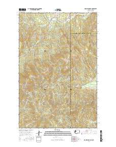Mount Spokane 2017 topographic map thumbnail