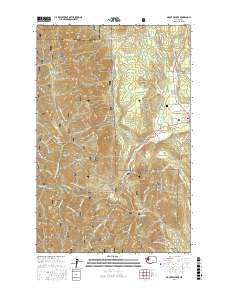 Mount Walker 2017 topographic map thumbnail