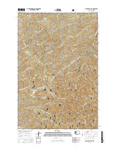 Newaukum Lake 2017 topographic map thumbnail