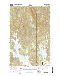 Newman Lake 2017 topographic map thumbnail