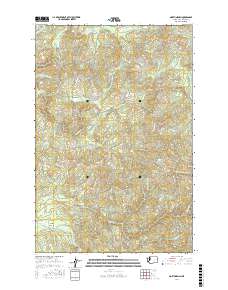 North Nemah 2017 topographic map thumbnail