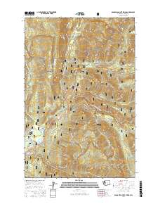 Ohanapecosh Hot Springs 2017 topographic map thumbnail