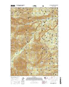 Old Scab Mountain 2017 topographic map thumbnail