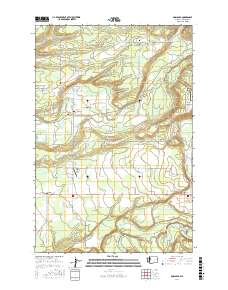 Onalaska 2017 topographic map thumbnail
