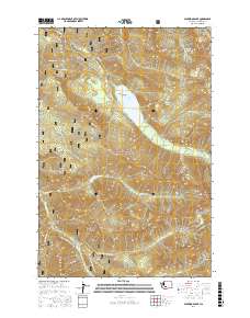 Packwood Lake 2017 topographic map thumbnail