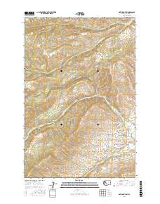 Pine Mountain 2017 topographic map thumbnail