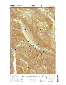 Polallie Ridge 2017 topographic map thumbnail