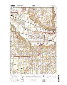 Puyallup 2017 topographic map thumbnail