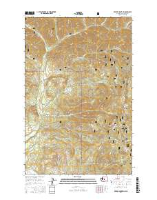 Red Top Mountain 2017 topographic map thumbnail
