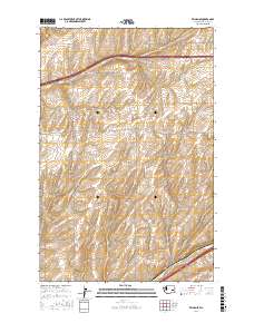 Reiman SE 2017 topographic map thumbnail