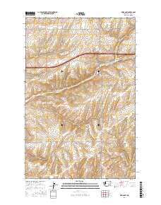 Reiman SW 2017 topographic map thumbnail
