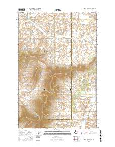 Tekoa Mountain 2017 topographic map thumbnail