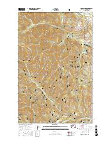 Thompson Ridge 2017 topographic map thumbnail