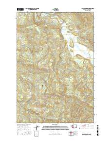 Toutle Mountain 2017 topographic map thumbnail