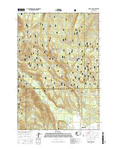 Trout Lake 2017 topographic map thumbnail