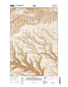 Tule Prong 2017 topographic map thumbnail