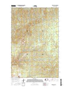 Turtle Lake 2017 topographic map thumbnail