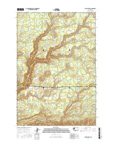 Twin Buttes 2017 topographic map thumbnail