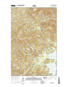 Twin Lakes 2017 topographic map thumbnail