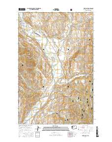 Twisp East 2017 topographic map thumbnail