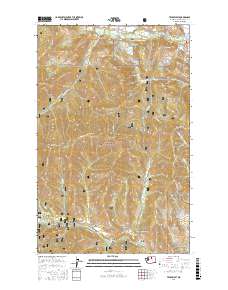 Twisp West 2017 topographic map thumbnail
