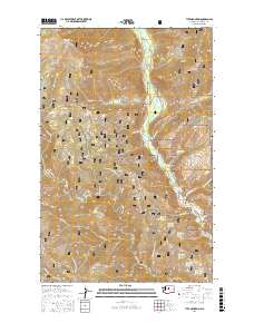 Tyee Mountain 2017 topographic map thumbnail