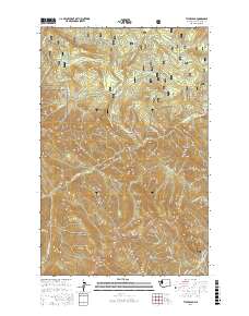 Tyler Peak 2017 topographic map thumbnail