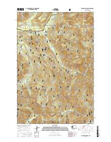 Wahpenayo Peak 2017 topographic map thumbnail
