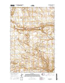 Sims Corner 2017 topographic map thumbnail