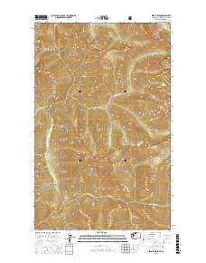 Skagit Peak 2017 topographic map thumbnail