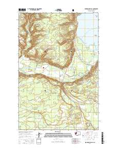 Skokomish Valley 2017 topographic map thumbnail
